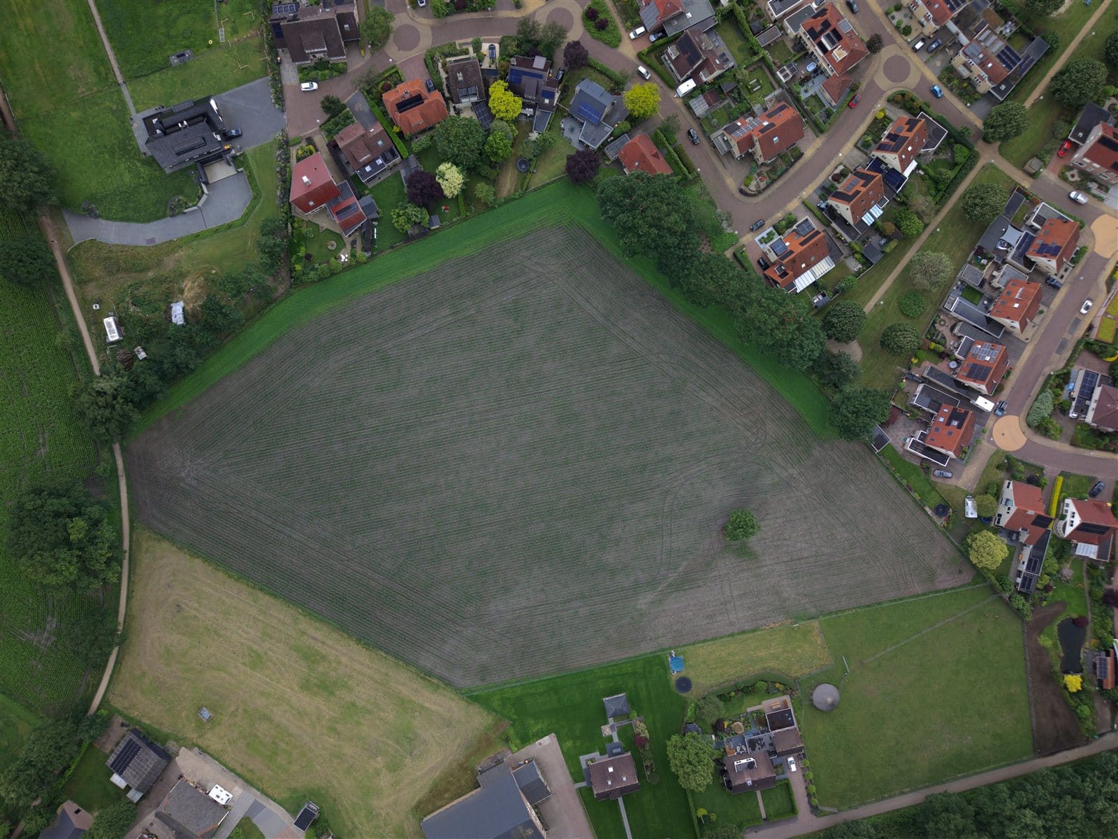 Zandvoortspad met groen in de omgeving